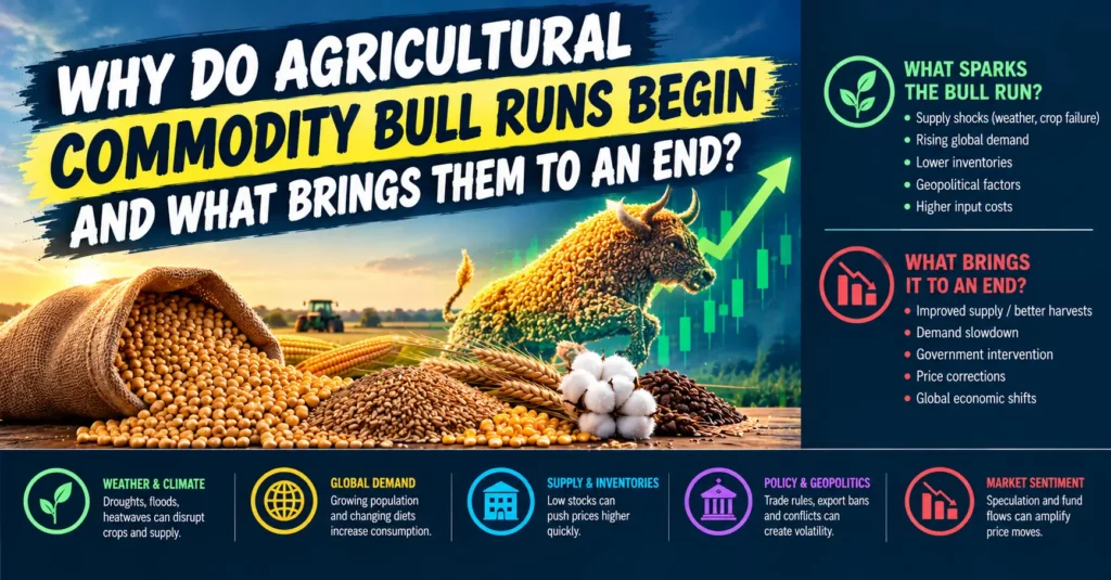 Why Do Agricultural Commodity Bull Runs Begin and What Brings Them to an End?