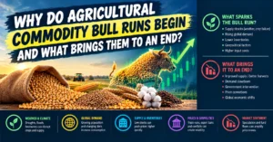 Why Do Agricultural Commodity Bull Runs Begin and What Brings Them to an End?